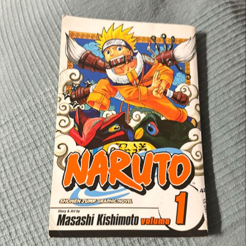 Naruto, Vol. 1