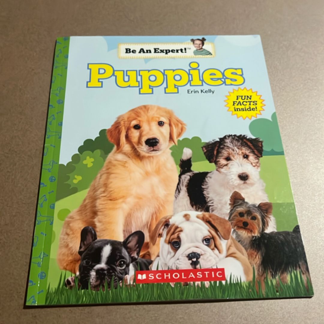 Puppies (Be an Expert!) (paperback)