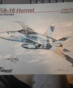 F/A -18 Hornet 
