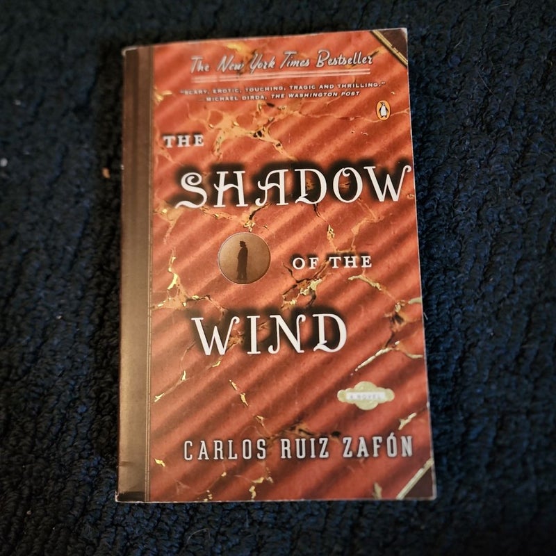 The Shadow of the Wind