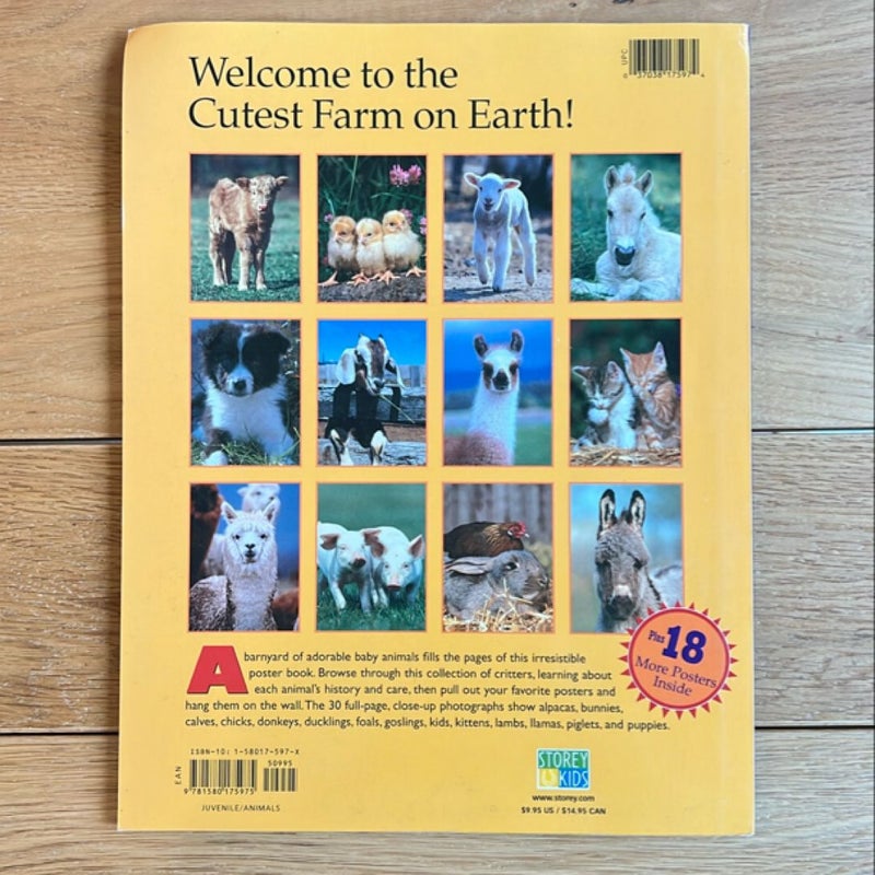 The Petting Farm Poster Book