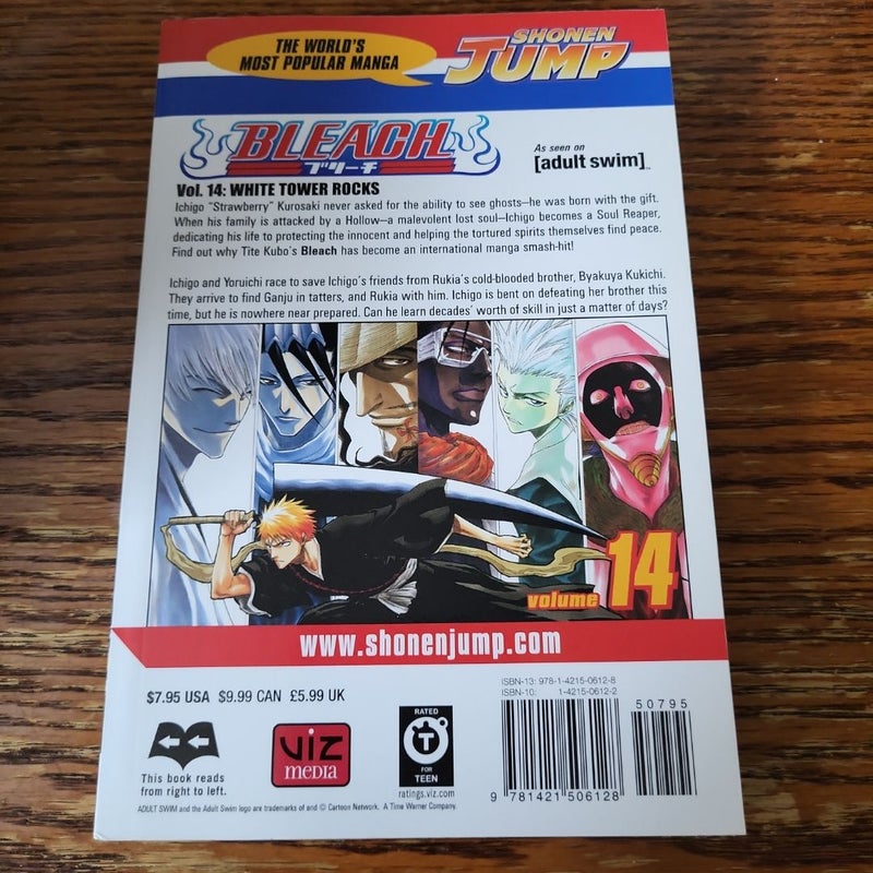 Bleach, Vol. 14