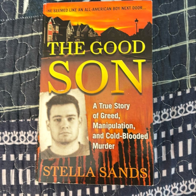 The Good Son