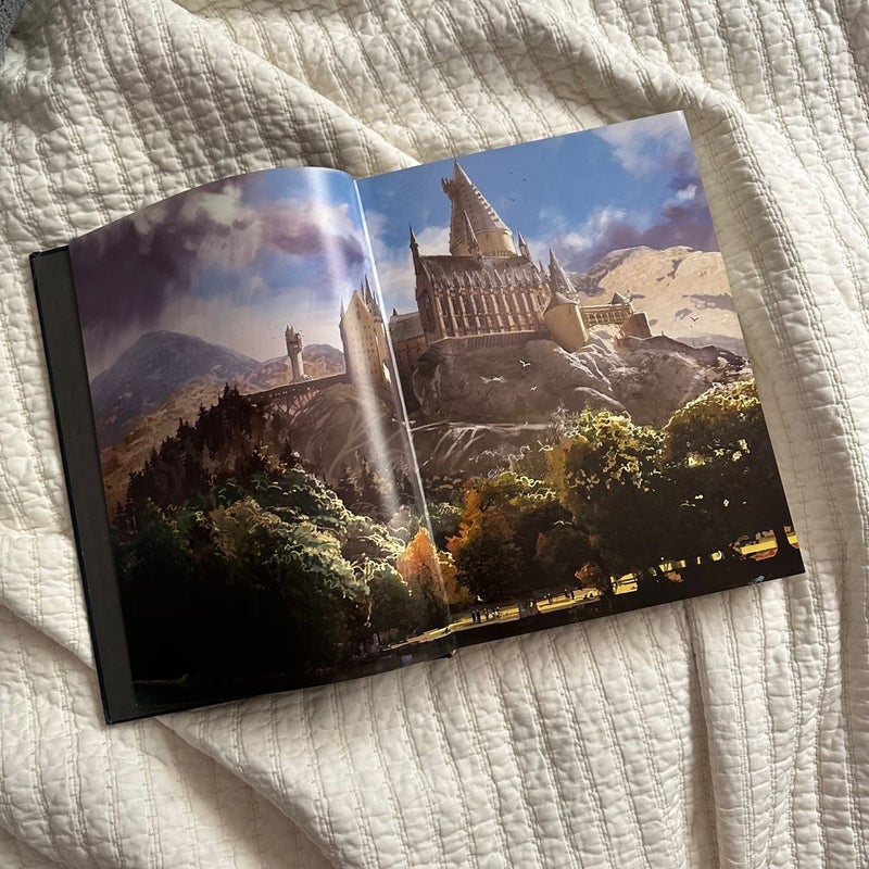 Harry Potter Page to Screen