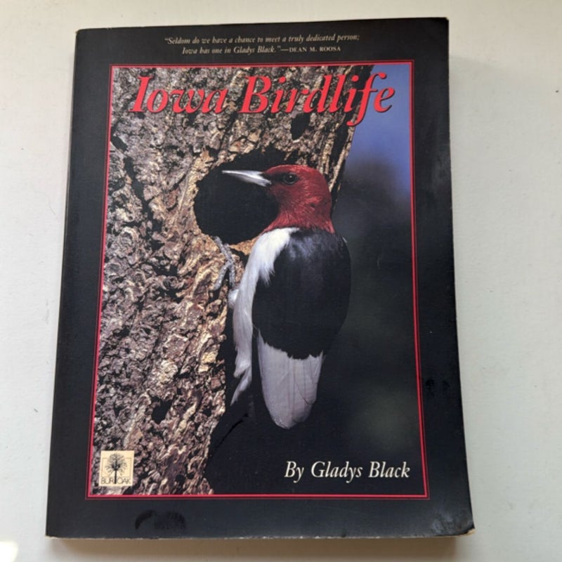 Iowa Birdlife
