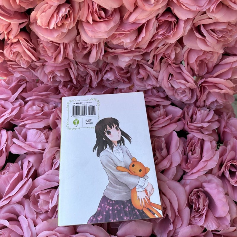 Fruits Basket Collector's Edition, Vol. 3