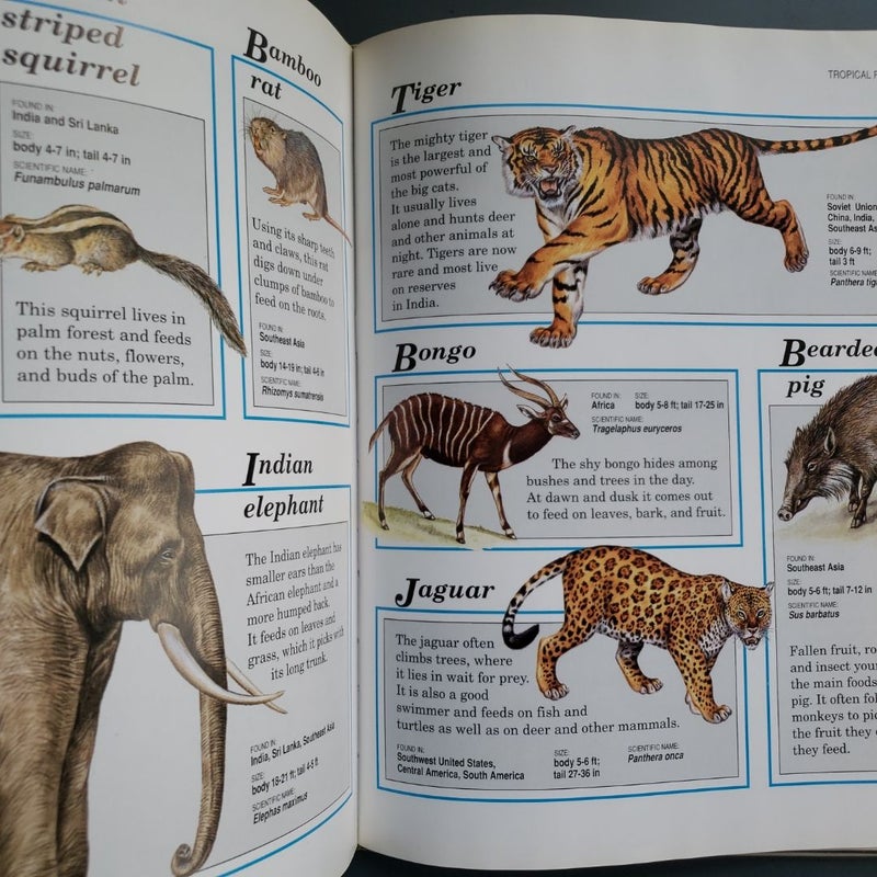 Animal Encyclopedia for Children