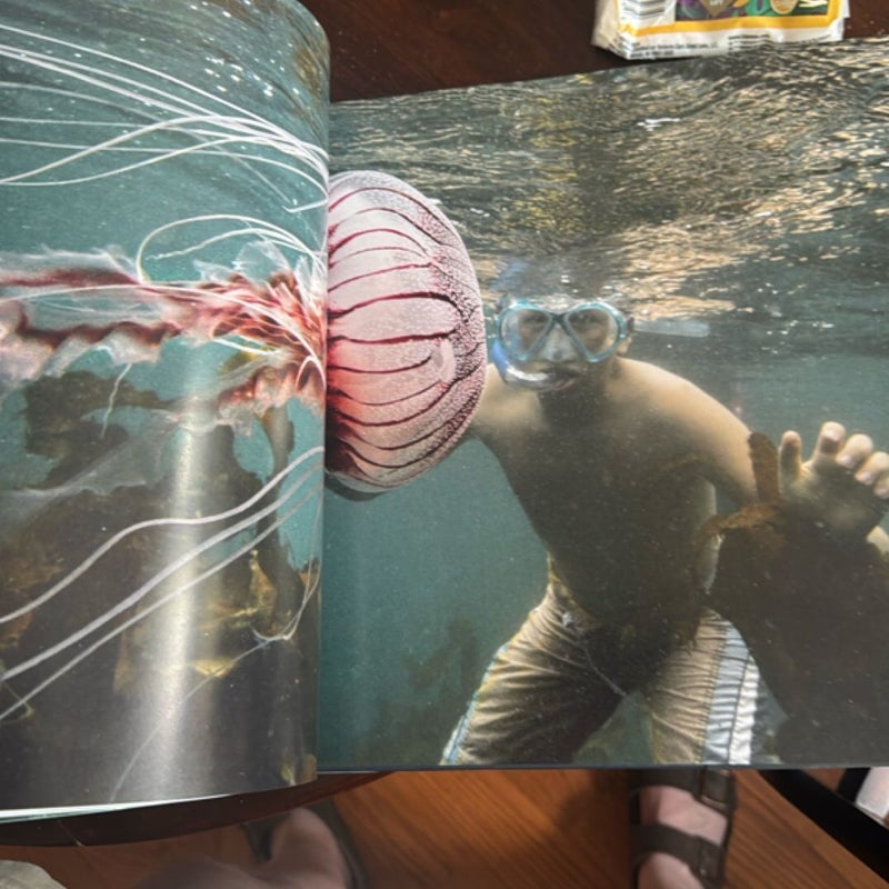Underwater Wild