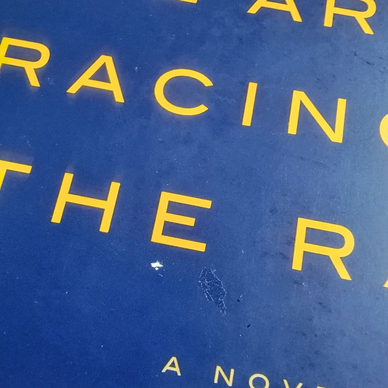 The Art of Racing in the Rain