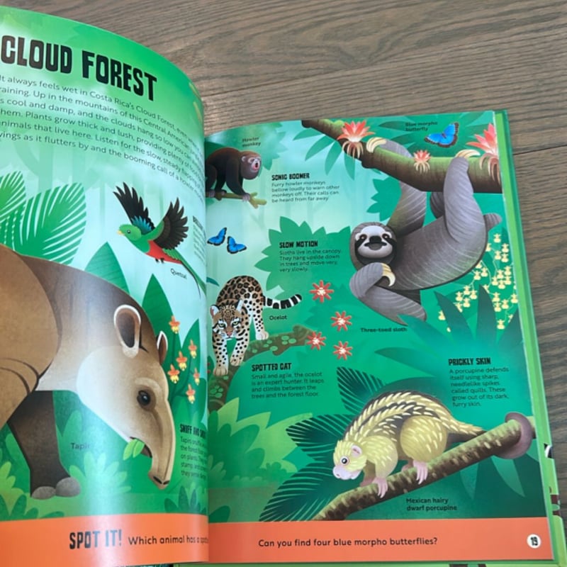 My First Jungle Atlas