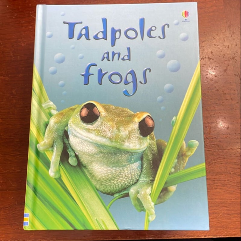 Tadpoles and Frogs