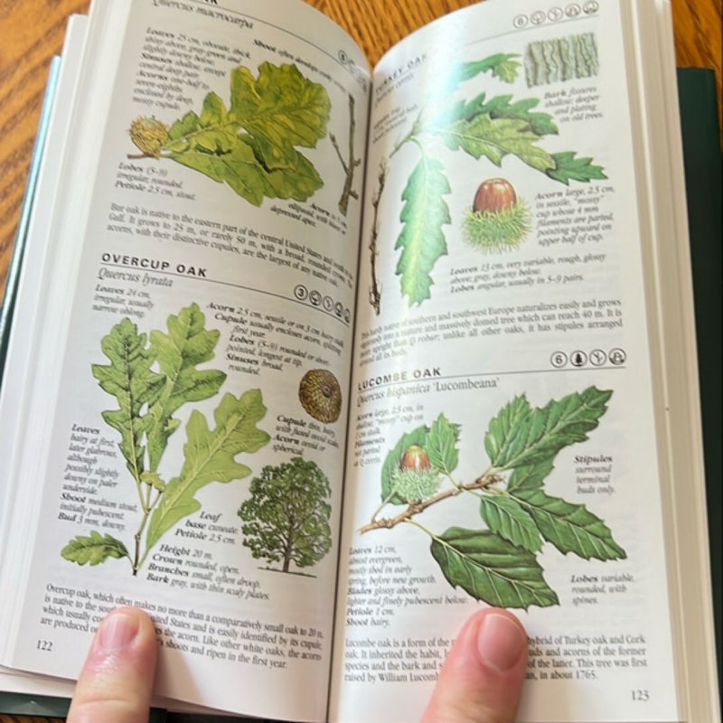 The Pocket Guide to Trees