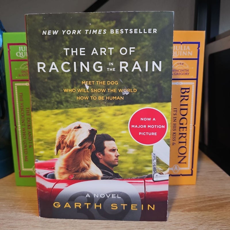 The Art of Racing in the Rain Tie-In