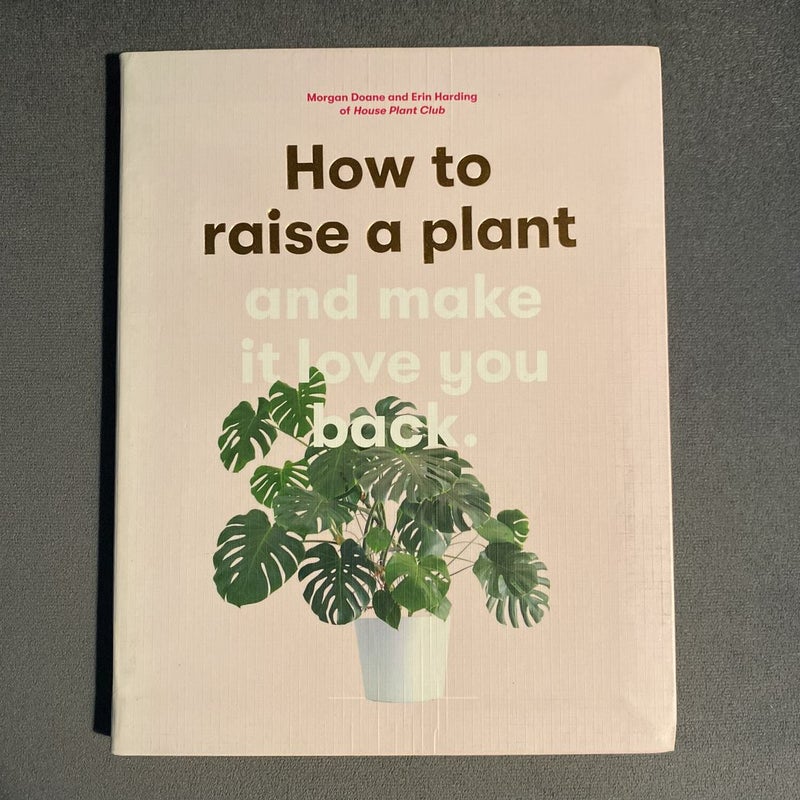 How to Raise a Plant