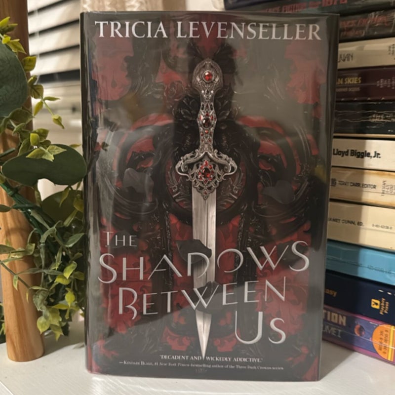 The Shadows Between Us