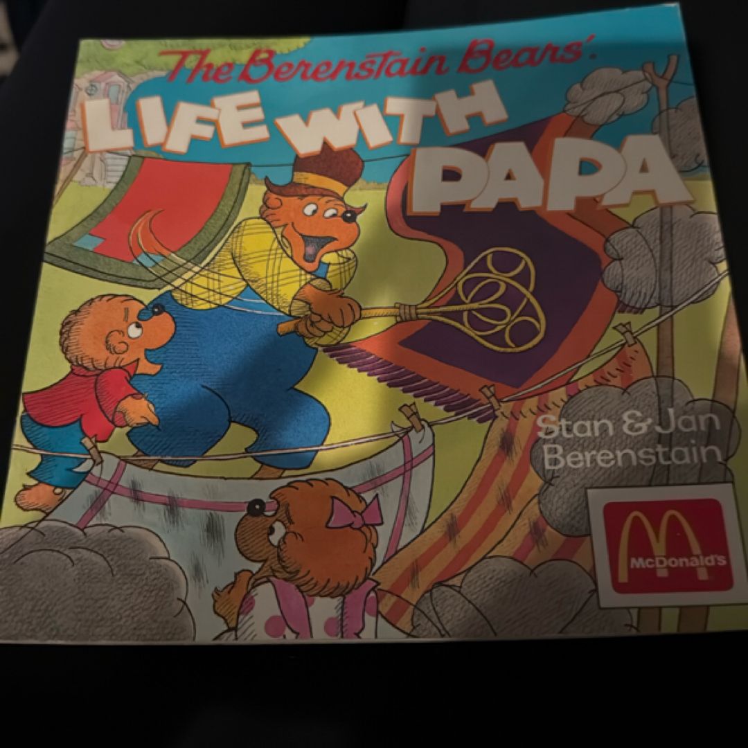 The Berenstain Bears Life With Papa