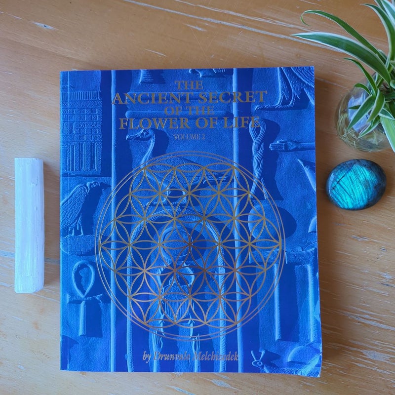 The Ancient Secret of the Flower of Life, Volume 2