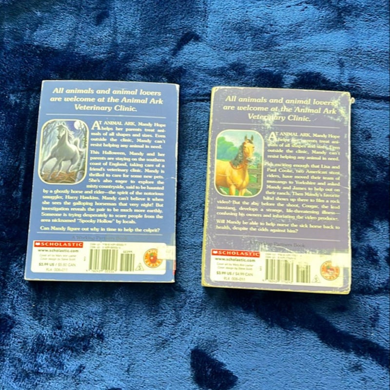 BOOK BUNDLE: Mustang in the Mist and Stallion in Spooky Hollow