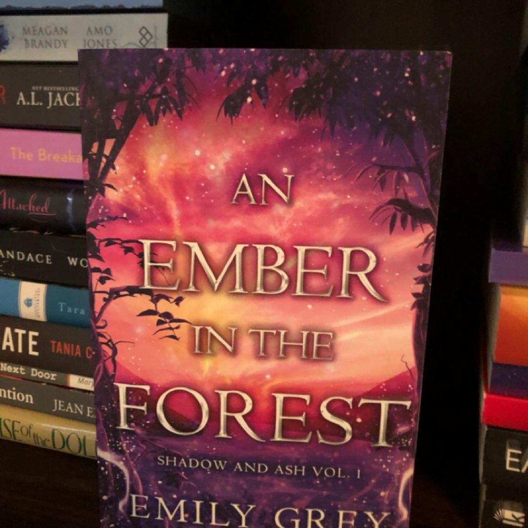 An Ember in the Forest