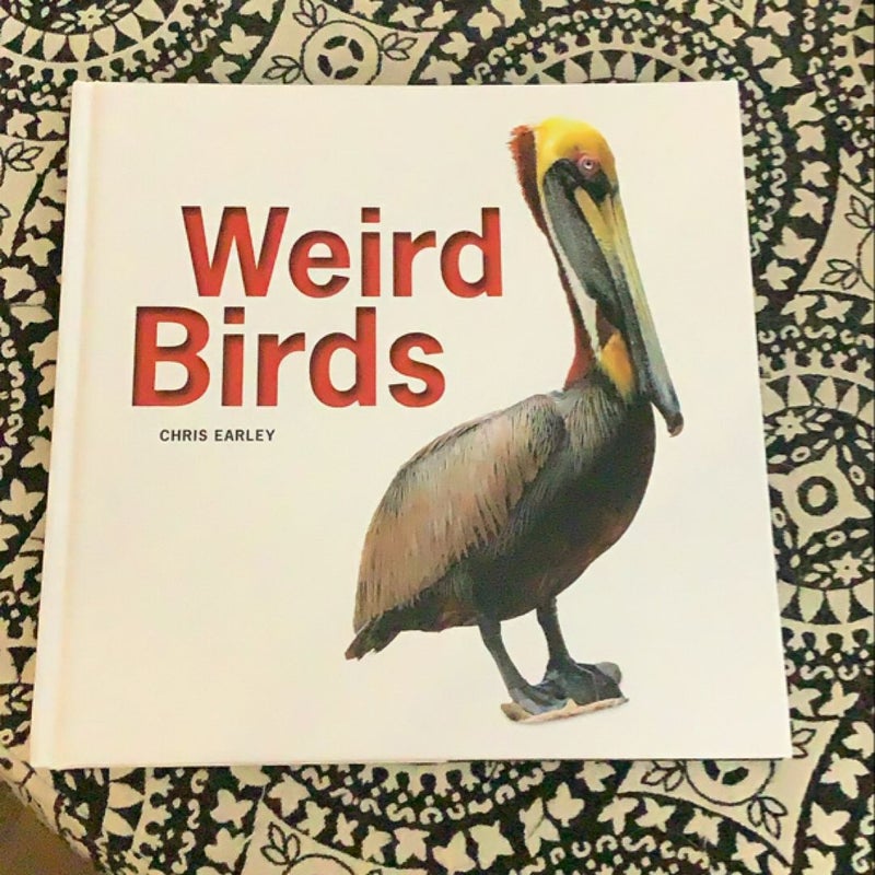 Weird Birds