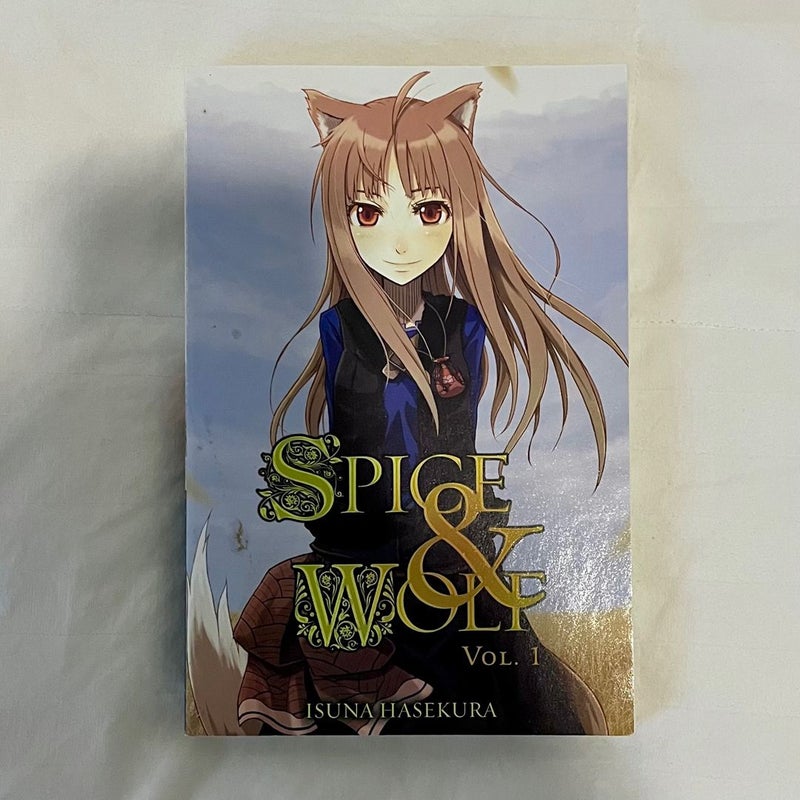 Spice and Wolf, Vol. 1 (light Novel)