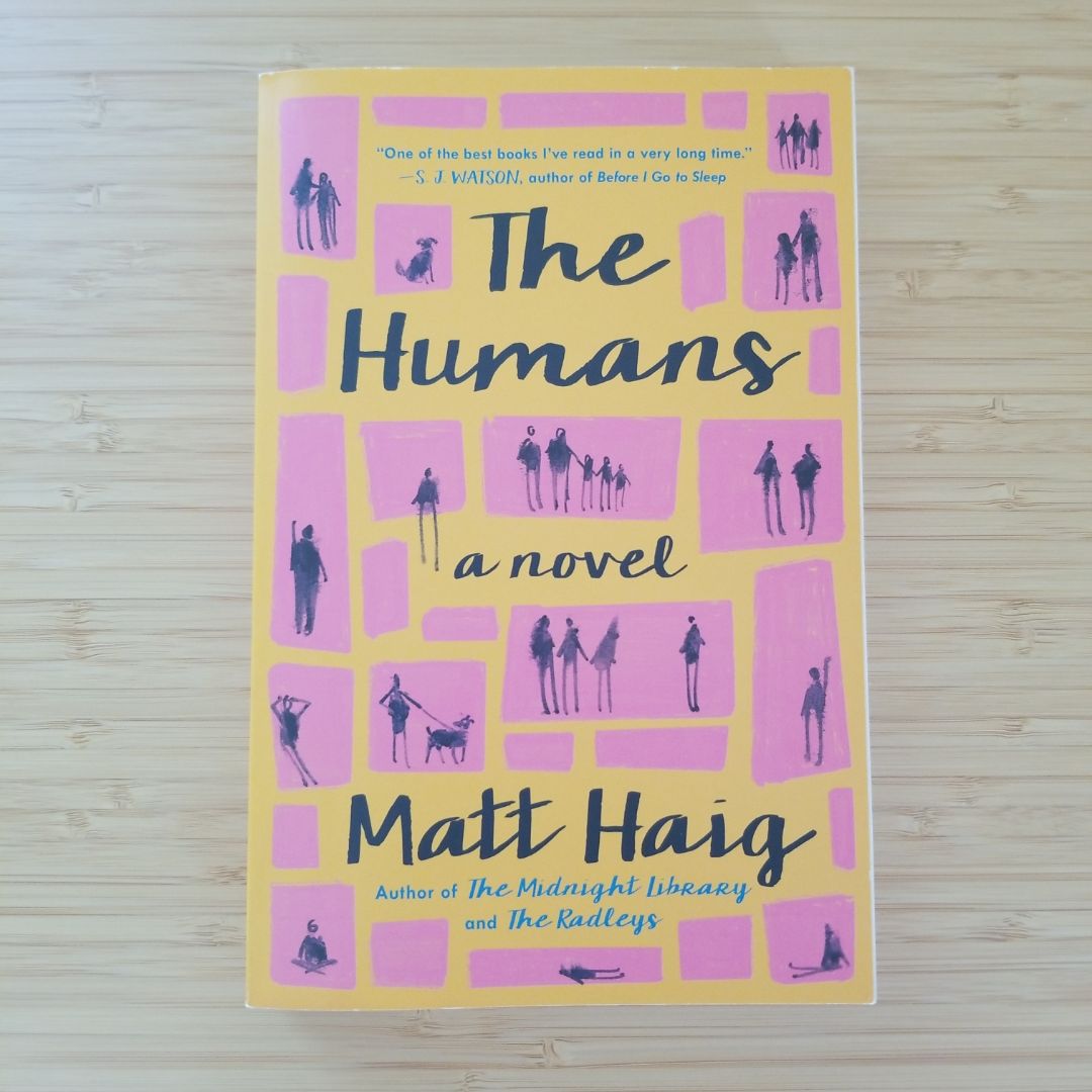 Sale image for ab2a8ce6-8b67-4154-a65c-d2f3a7f0df1f-XjqAKfRpGsaGKZpEzVznJNtw4um1