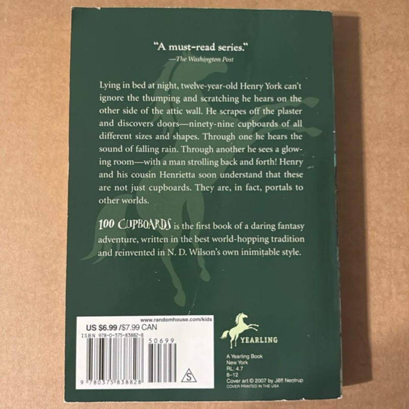 100 Cupboards (100 Cupboards Book 1)