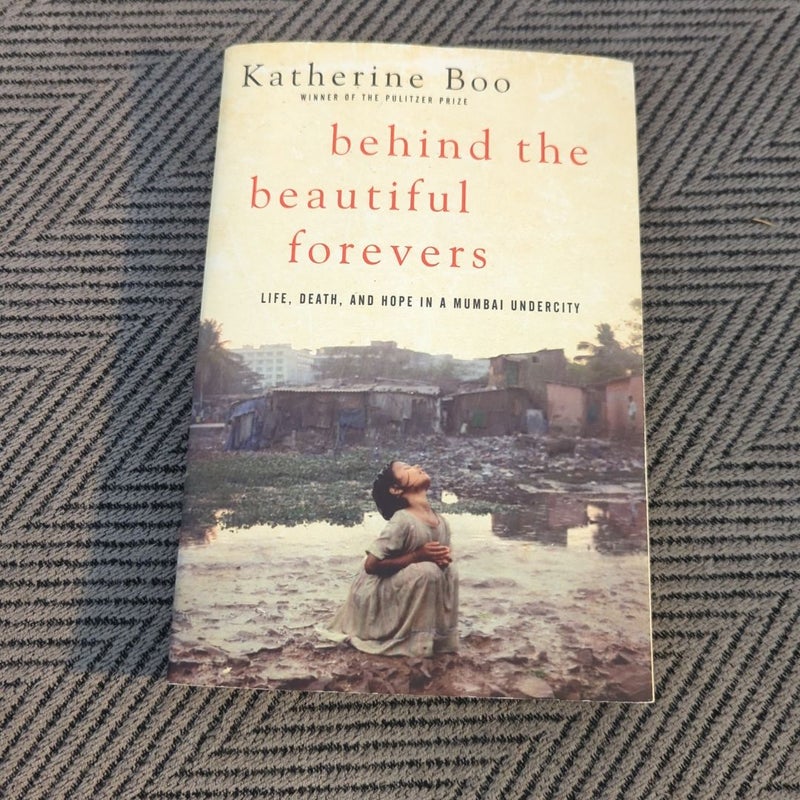 Behind the Beautiful Forevers
