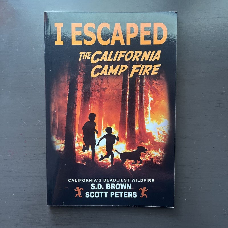 I Escaped the California Camp Fire