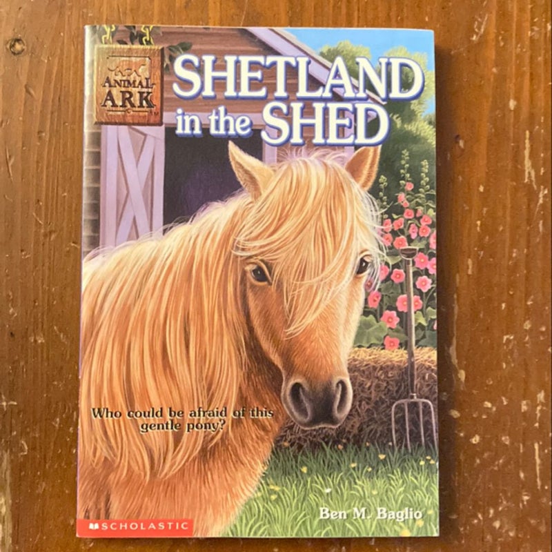 Shetland in the Shed