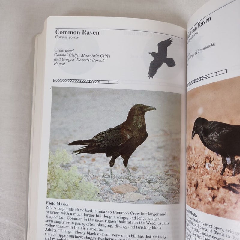 An Audubon Handbook