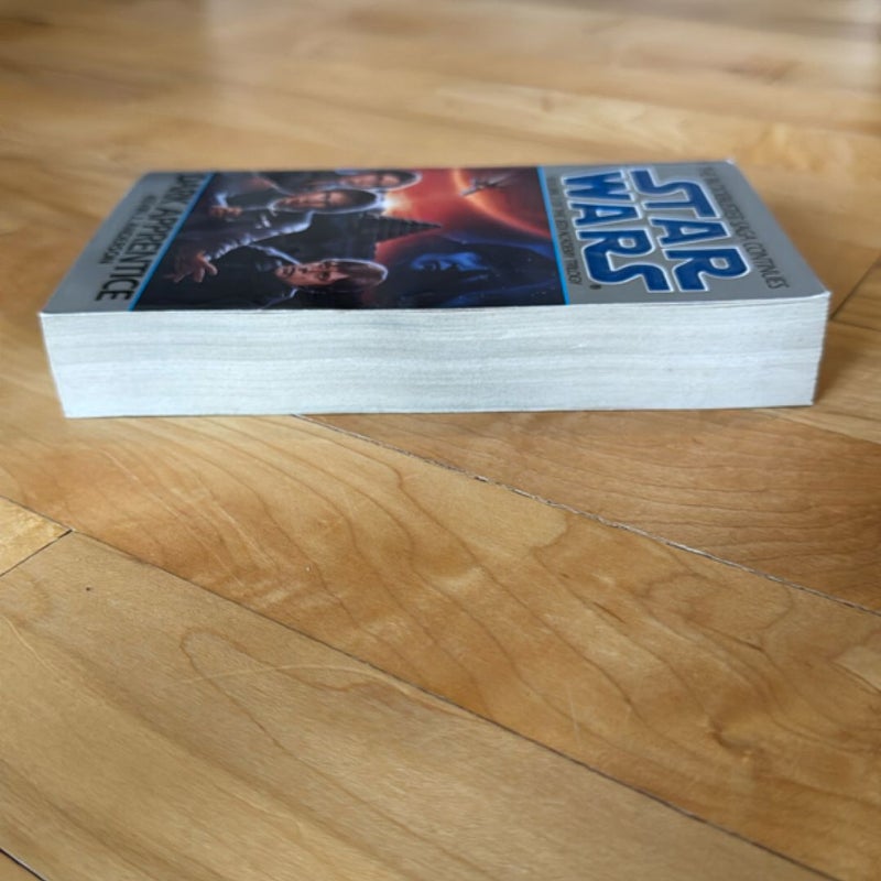 Dark Apprentice: Star Wars Legends (the Jedi Academy)