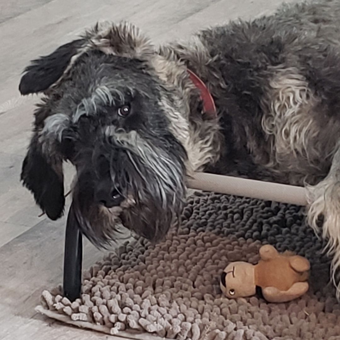 Kim and Curiosity's Books