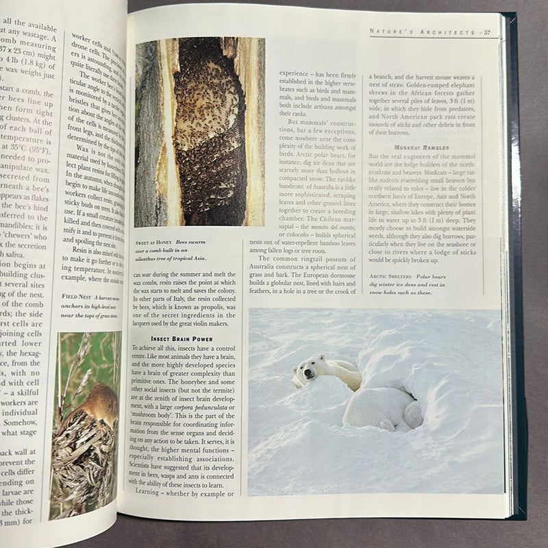 Intelligence in Animals by Reader's Digest Editors