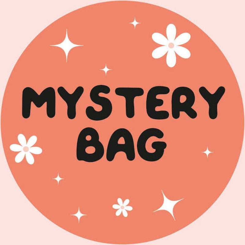 ❓Mystery Bag❓ (1 paperback)