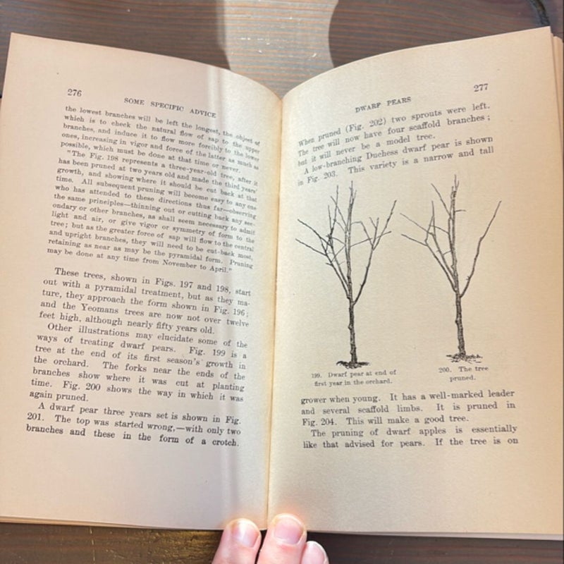 The Pruning Book