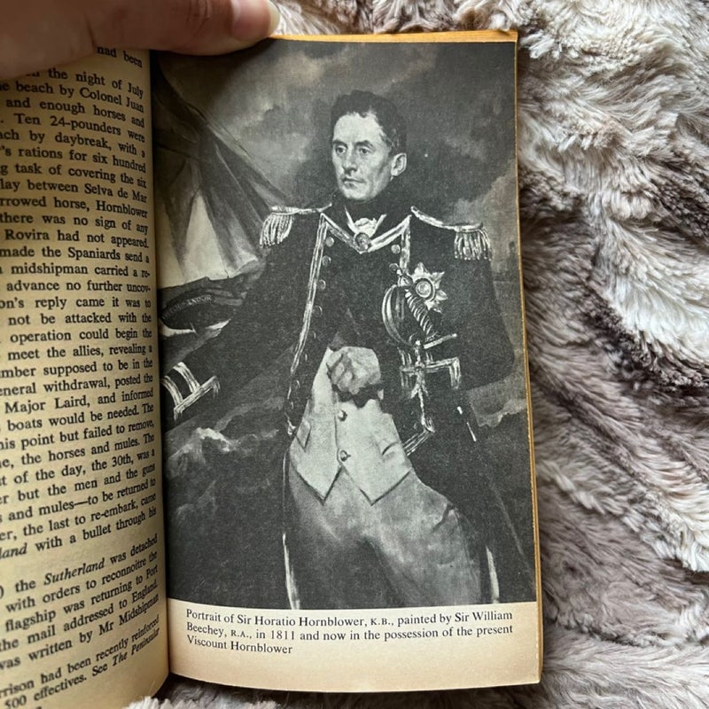 The Life And Times Of Horatio Hornblower