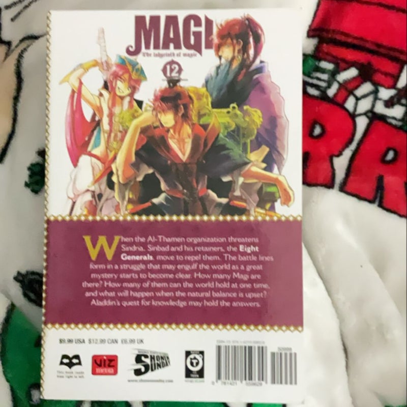 Magi: the Labyrinth of Magic, Vol. 12