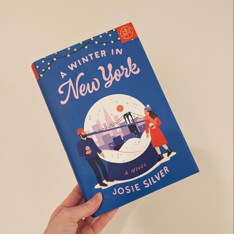 A Winter in New York