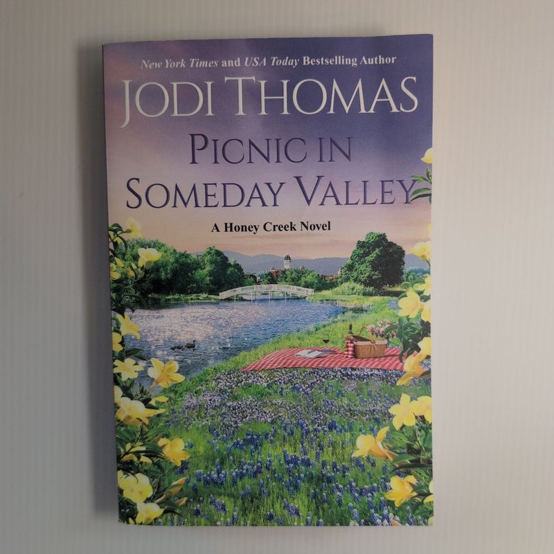 Picnic in Someday Valley