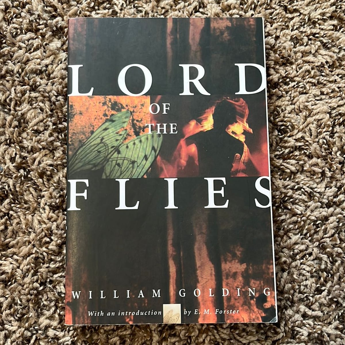 Lord of the Flies by William Golding, Paperback | Pangobooks