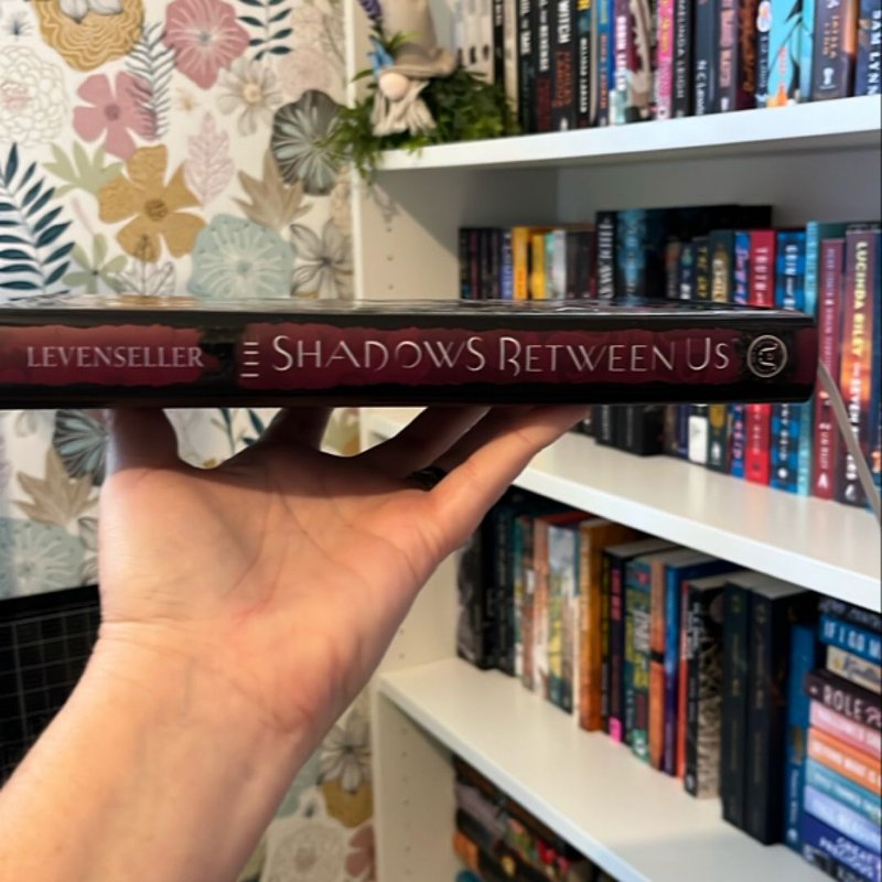 The Shadows Between Us