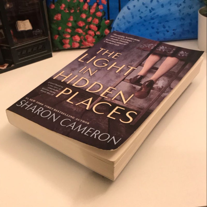The Light In Hidden Places