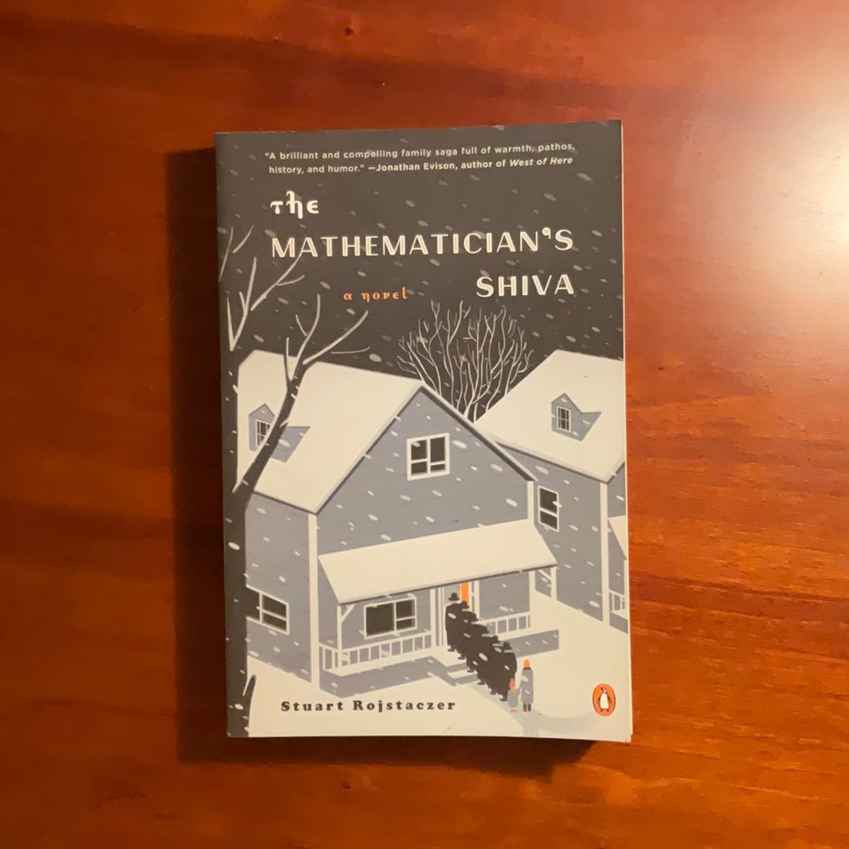 The Mathematician's Shiva by Stuart Rojstaczer, Paperback Pangobooks