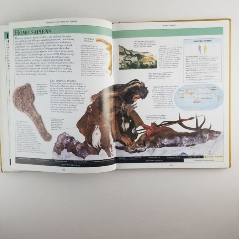 Dinosaur Encyclopedia DK