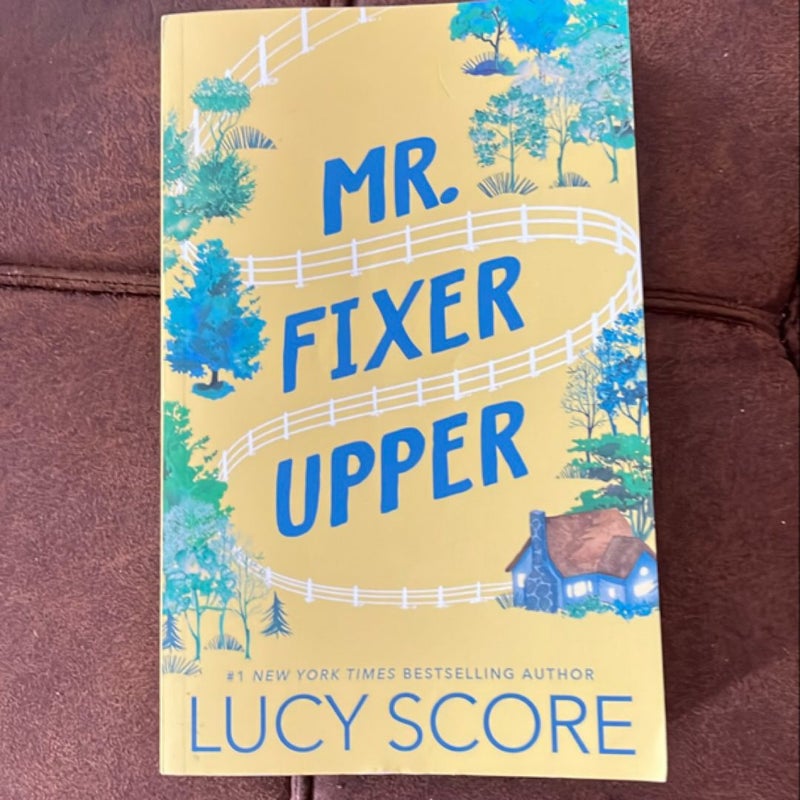 Mr. Fixer Upper