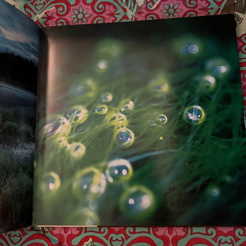 Stoner Coffee Table Book