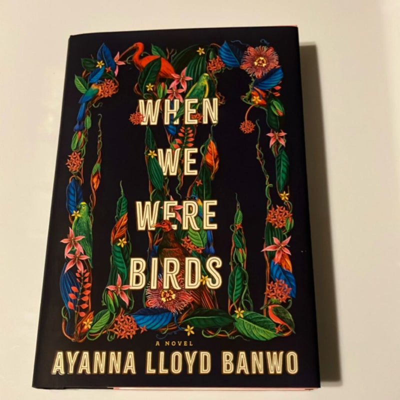 When We Were Birds