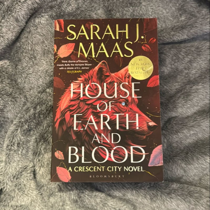 House of Earth and Blood UK Paperback 