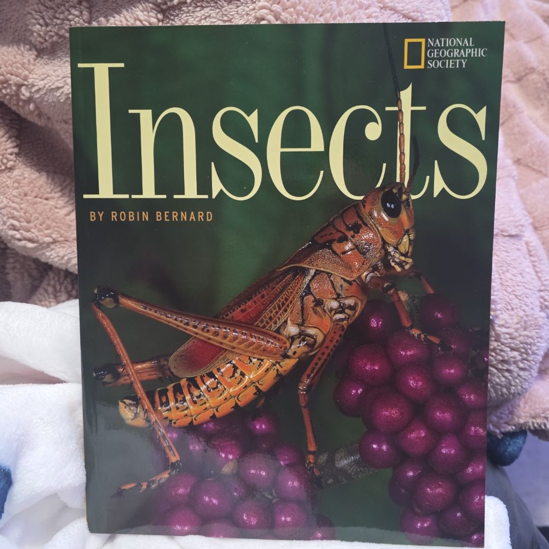 Insects